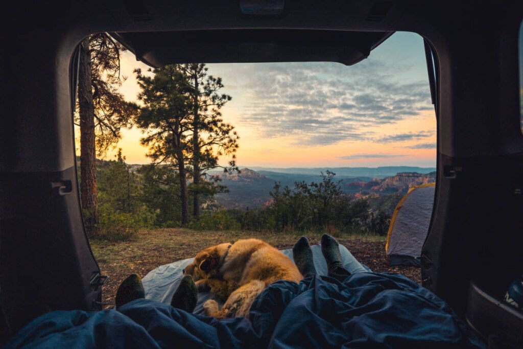 Ein Hund macht ein Nickerchen auf einer Luftmatratze auf im Kofferraum eines Fahrzeugs an den Füßen seiner Besitzer, im Hintergrund befindet sich ein Zelt, Bäume und Berge.