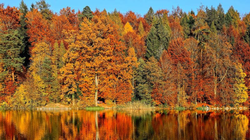 Herbstbäume spiegeln sich beim Camping in einem See.