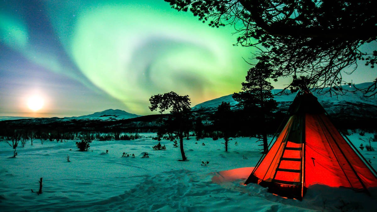 Wintercamping in Schweden: Ein Zelt bei Nacht, umgeben von grün leuchtenden Polarlichtern am Horizont.