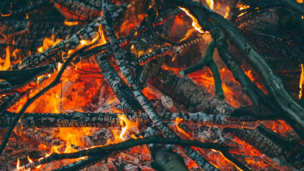 Eine Nahaufnahme eines brennenden Feuers im Wald.