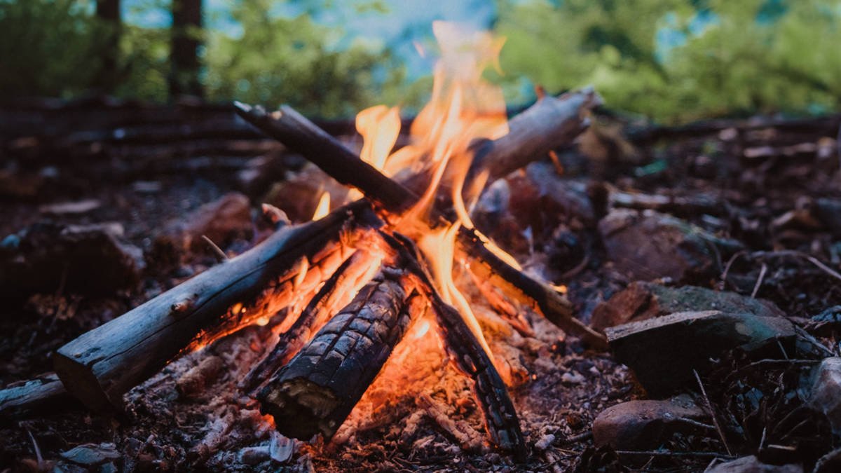 Ein Lagerfeuer brennt im Wald.