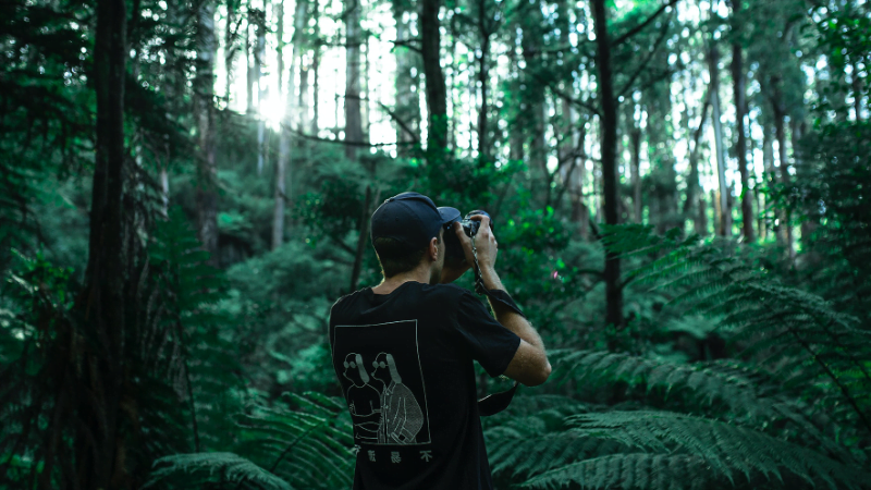 Mann im Wald fotografiert 